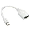„LindyMini“ DP–DP kabelio adapteris. V/F. „Primum“ ekranuotas.