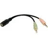 LogiLink Prisijungti | Audio Adapteris 3.5 Stereo 4-Pin Female to 2 x 3.5 Stereo Male | 4 kontaktų 3,5 mm stereo lizdas | 2 x 3 kontaktų stereo moteriškas lizdas