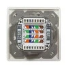 LogiLink LogiLink Cat.6A Anschlussdose, 2x RJ45,baltas, waagerecht - NP0123