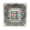 Logilink | Cat.6A Wall Outlet STP | NP0124