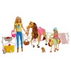 Lėlė Barbie Mattel - Stadnina Koni (FXH15)