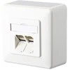 METZ CONNECT E-DAT C6 2 prievadas AP grynai baltas