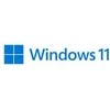 „Microsoft Windows 11 Pro“ – švedų kalba – 1 licencija(-os) – 64 GB – 4.1 TB – 1000 GHz – DVD