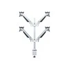 Multibrackets 7228 - Rack shelf - Juodas - Metal - 250 mm - 65 mm - 250 mm