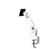 Laikiklis NewStar Neomounts FPMA-D400