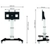 Laikiklis „Neomounts NEWSTAR“ motorizuotas mobilus grindų stovas - VESA 200X200 iki 800X600 42-100" Sidabrinis