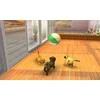 „Nintendogs and Cats 3D“: prancūzų buldogas (pasirinktas) – „Nintendo 3DS“
