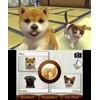 „Nintendogs and Cats 3D“: žaislinis pudelis (pasirinktas) – „Nintendo 3DS“