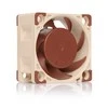 Noctua NF-A4X20 FLX ventiliatorius - 40x40x20mm - 3 kontaktų