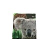 Easy Camp Image Kids Cuddly Koala - 240142