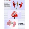 Olympia Olympia laminavimo plėvelės DIN A3, 50 vnt 80 mic