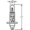 Osram H1 lemputės matmenų schema