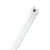 Osram 36W lempa LUMILUX T8, G13, 3000K, 1213,6mm
