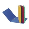 Segregator Pagna 2-ringowy A4 16mm žalia (44096-03)