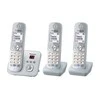 Telefonas Panasonic KX-TG6823GS