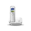 Panasonic KX-TGJ310GW