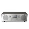 Radija Panasonic RF-D100BTEGT