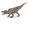 Kolekcionieriaus figūrėlės dinozauras Akrokantosaurus, papo