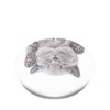 Popsockets 2 Cat Nap 800947 telefono laikiklis - standard