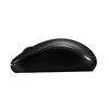 RAPOO Wireless Entry level 3 mygtukai Pelė M10+