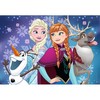 3D Puzzle Disney Frozen II Storage Box 216 Pieces - RAVENSBURGER dėlionė