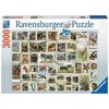 Ravensburger Dėlionė 3000 vnt. - Gyvūnų pašto ženklai