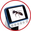 Mikroskopas Reflecta DigiMicroscope LCD Professional 500x
