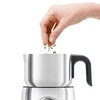 Sage the Milk Café Handheld electric Nerūdijantis plienas