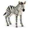 SCHLEICH „Wild Life“ figūrėlė Zebriukas