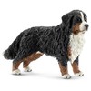 Schleich figūrėlė Berno zenenhundų patelė