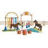 Agility treniruotės poniai Schleich