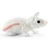 SCHLEICH „Arklių klubo“ Rinkinys - Raitelė Mia