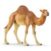 Schleich figūrėlė Vienkupris kupranugaris