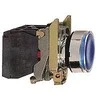 Schneider Electric Valdymo mygtukas 22mm mėlyna 1Z 1R su grįžimu su apšvietimu (XB4BW36M5)