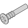 SCHROFF SCHROFF Sraigtas su gilia galva, Torx, 3 x 20, 100 vnt.