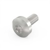 SCHROFF SCHROFF Sraigtas su lizdu, Torx, GND funkcija, cinkuotas plienas, M4 10 mm, 100 vnt.
