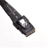 SilverStone SFF 8087 - SFF 8087, 0.5m, Juodas (SST-CPS02)