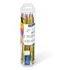 Staedtler - Noris klasikiniai pieštukai, įsk. trintukas, 12 vnt. (61 120P1)