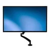 StarTech Darbastalio laikiklis monitoriuje 12 "- 34" (ARMSLIM)