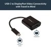 StarTech.com CDP2DP USB ekrano adapteris 3840 x 2160 pikseliai Juoda