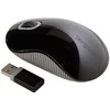 TARGUS WIRELESS Mėlynas TRACE Pelė BLK
