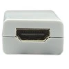 Techly Mini DisplayPort – HDMI M/F Balta
