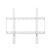 Techly Plonas baltas televizoriaus sieninis laikiklis 23-55 colių LED/LCD iki 45 kg