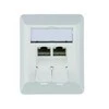 Telegärtner box AMJ45 8/8 K AP/50 Cat.6A Alpine baltas