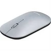 Wortmann TERRA Pelė NBM1000S wireless BT sidabrinis