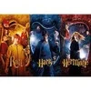 Sd Toys Wizarding World Dėlionė 50 HARRY POTTER RON HERMIONA