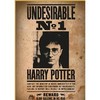 Wizarding World Burtininkų pasaulio nykštys aukštyn! Dėlionė Haris Poteris „Ieškomas Nr. 1“ 50 dienų