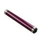 Toshiba Drum Trommel OD-FC34M ODFC34M Magenta 30k (6A000001587)
