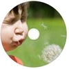 DVD-R Verbatim [ brangakmenių dėklas 10 | 4,7 GB | 16x | spausdinimui ]