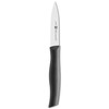 ZWILLING TWIN GRIP Daržovių ir vaisių peilis 9 cm